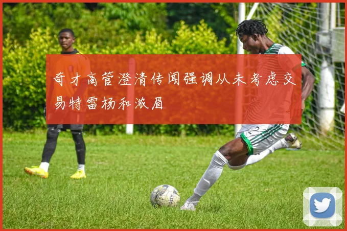 奇才高管澄清传闻强调从未考虑交易特雷杨和浓眉